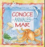 Conoce los animales del mar