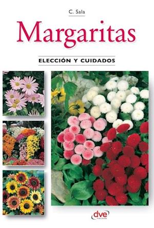 Margaritas - Elección y cuidados