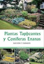 Plantas tapizantes y coniferas enanas