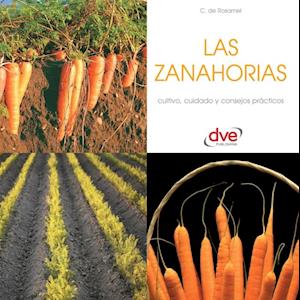 Las zanahorias