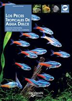 Los peces tropicales de agua dulce