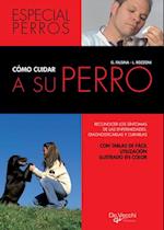 Cómo cuidar a su perro