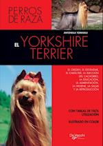 El yorkshire terrier