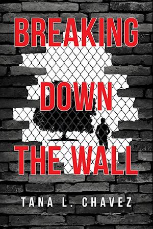 Breaking Down the Wall