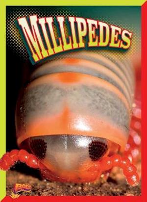 Millipedes