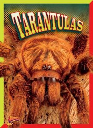 Tarantulas