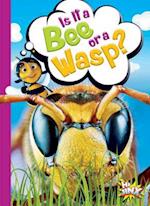 Is It a Bee or a Wasp?