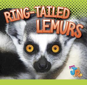 Ring-Tailed Lemurs