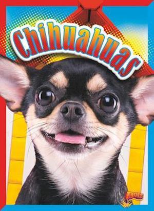 Chihuahuas