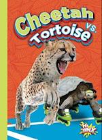 Cheetah vs. Tortoise