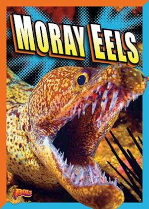 Moray Eels