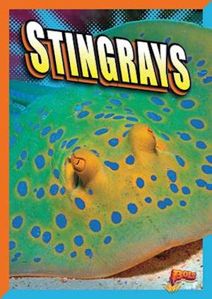 Stingrays