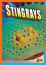 Stingrays