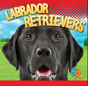 Labrador Retrievers