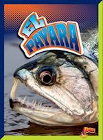 El Payara