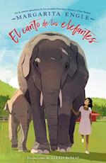 Cantando Con Elefantes / Singing with Elephants