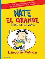 Único En Su Clase / Big Nate