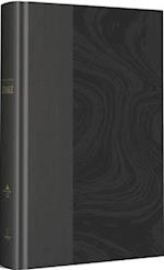 Rvr 1960 Biblia de Estudio Dake, Tamaño Grande, Tapa Dura, Negra / Spanish Rvr 1960 Dake Study Bible, Large Size, Black Hardcover