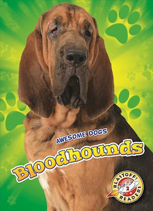 Bloodhounds