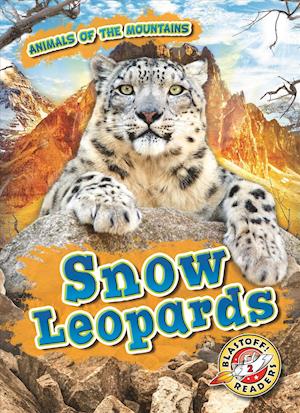 Snow Leopards