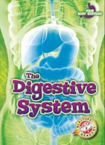 The Digestive System