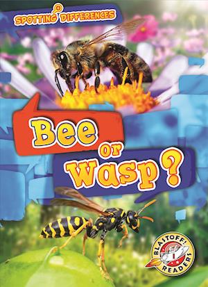 Bee or Wasp?