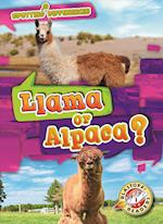 Llama or Alpaca?
