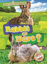 Rabbit or Hare?