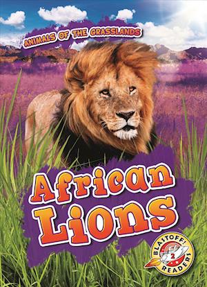 African Lions