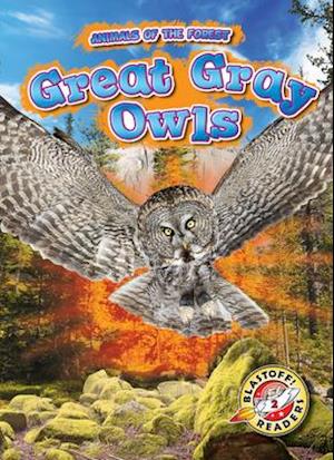 Great Gray Owls