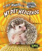 My Pet Hedgehog