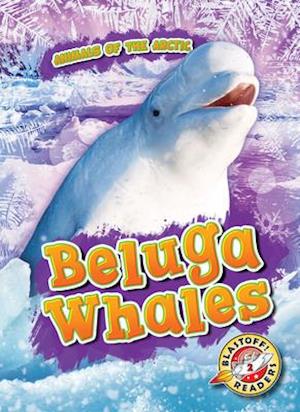 Beluga Whales