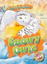 Snowy Owls