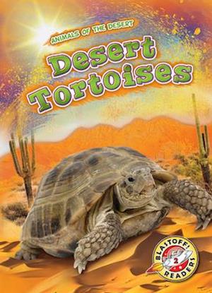 Desert Tortoises