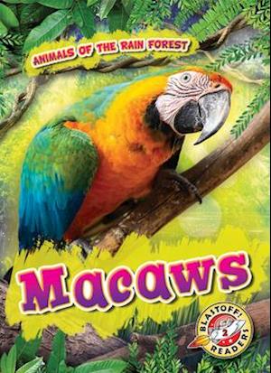 Macaws