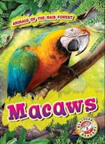 Macaws