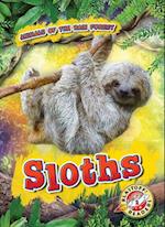 Sloths