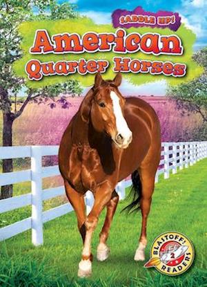 American Quarter Horses