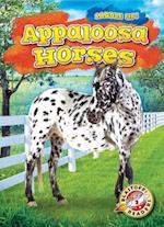 Appaloosa Horses