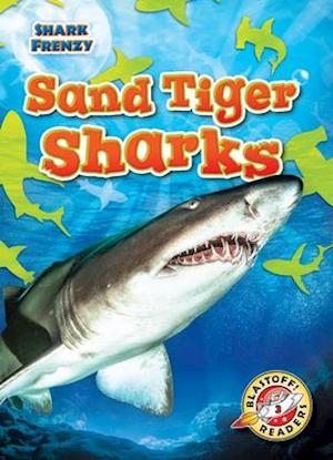 Sand Tiger Sharks