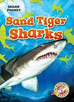 Sand Tiger Sharks