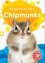 Chipmunks