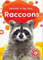 Raccoons