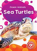 Sea Turtles