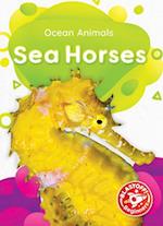 Sea Horses