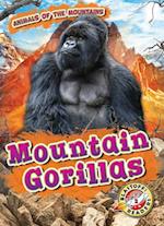 Mountain Gorillas