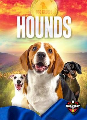 Hounds