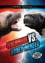 Wolverine vs. Honey Badger