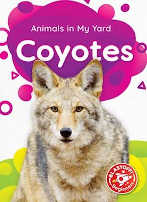 Coyotes