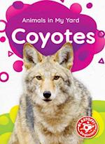 Coyotes